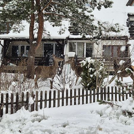 Apartament Wokol Stolu Ζακοπάνε Εξωτερικό φωτογραφία